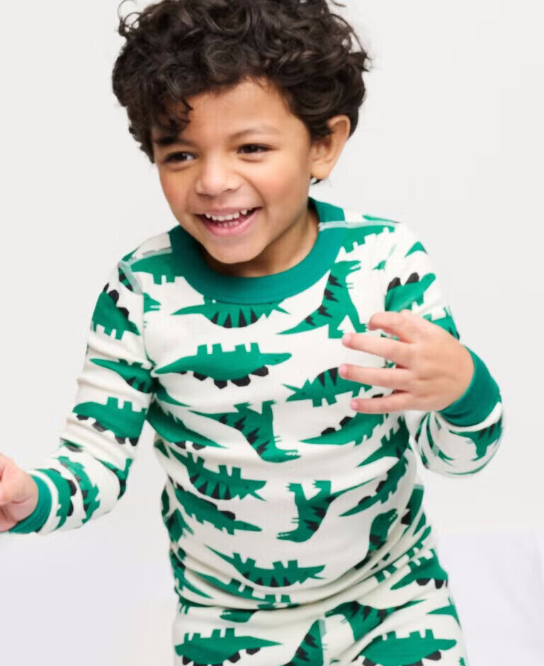 toddler boys dinosaur pajamas