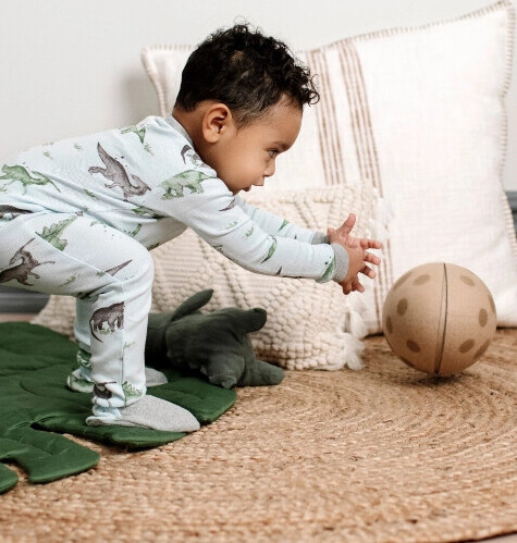 toddler boys dinosaur pajamas
