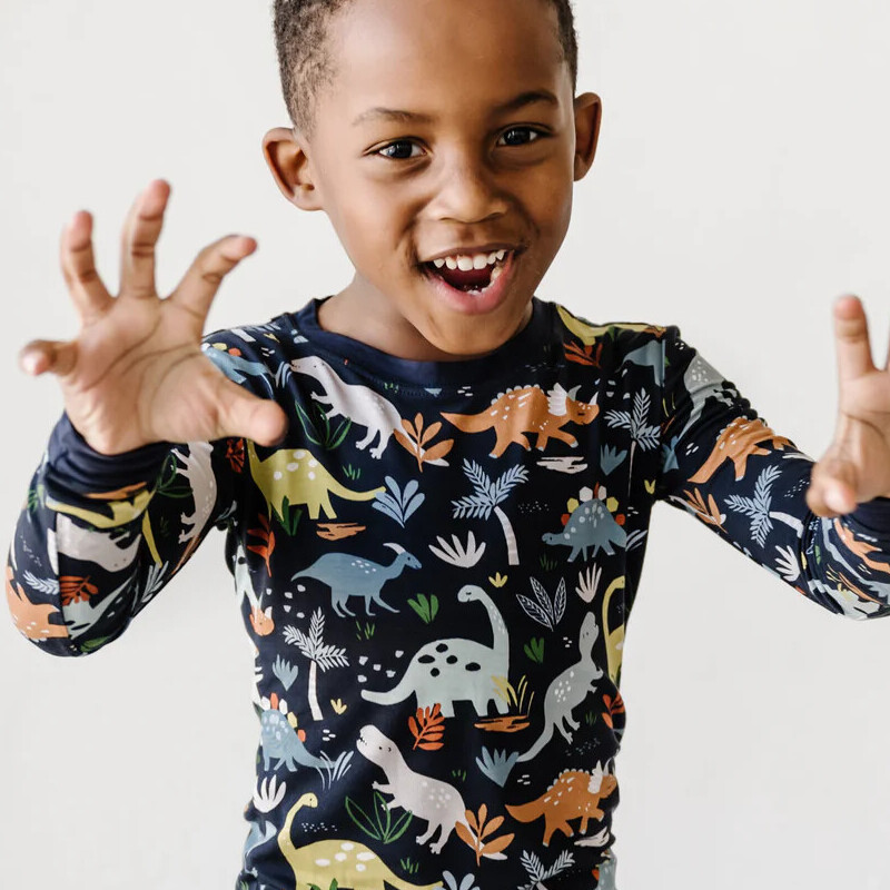 toddler boys dinosaur pajamas