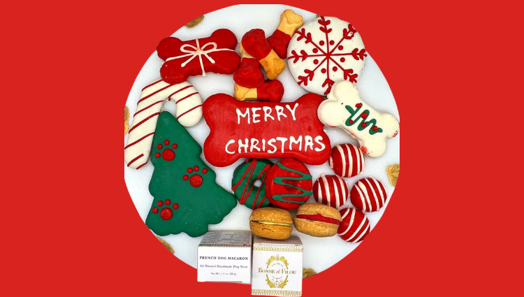 Christmas Dog Treat Gift Box