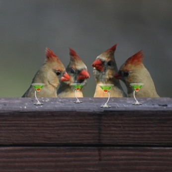 Everybody is talking about it...