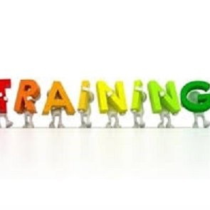 Training Image