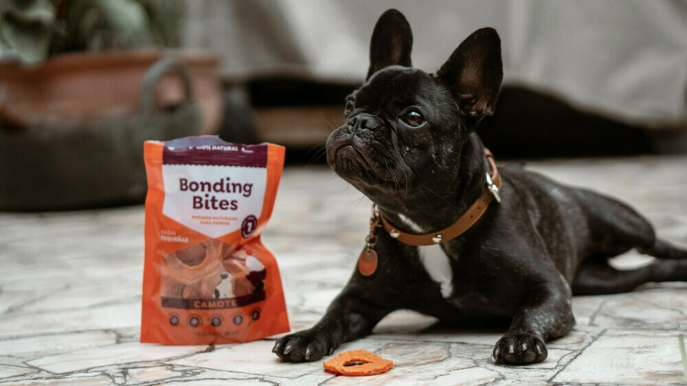pet treats