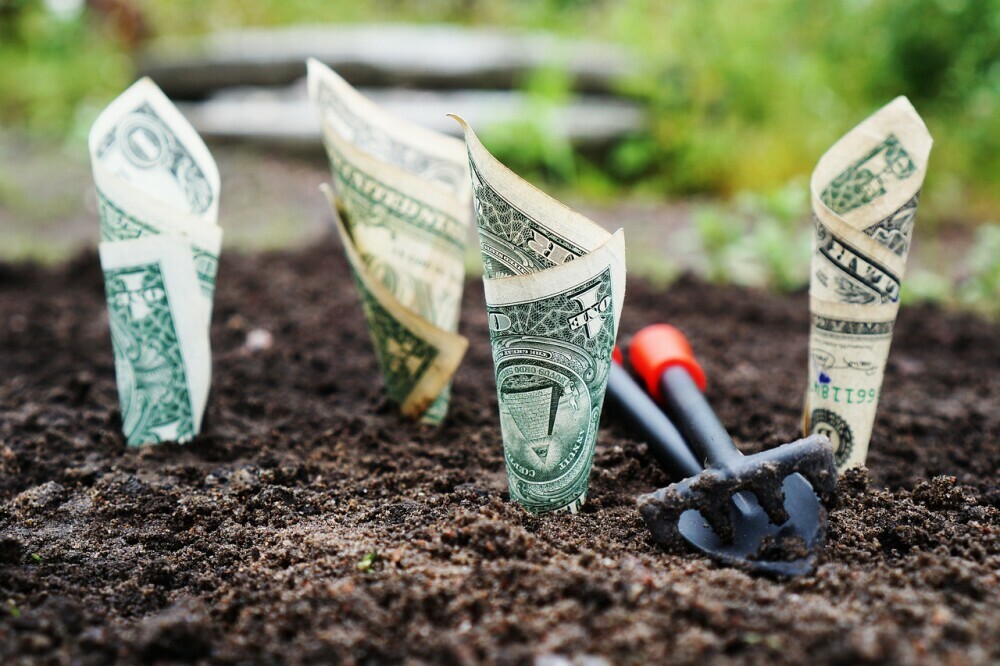 How to Secure Funding for Your Low Cost Startup