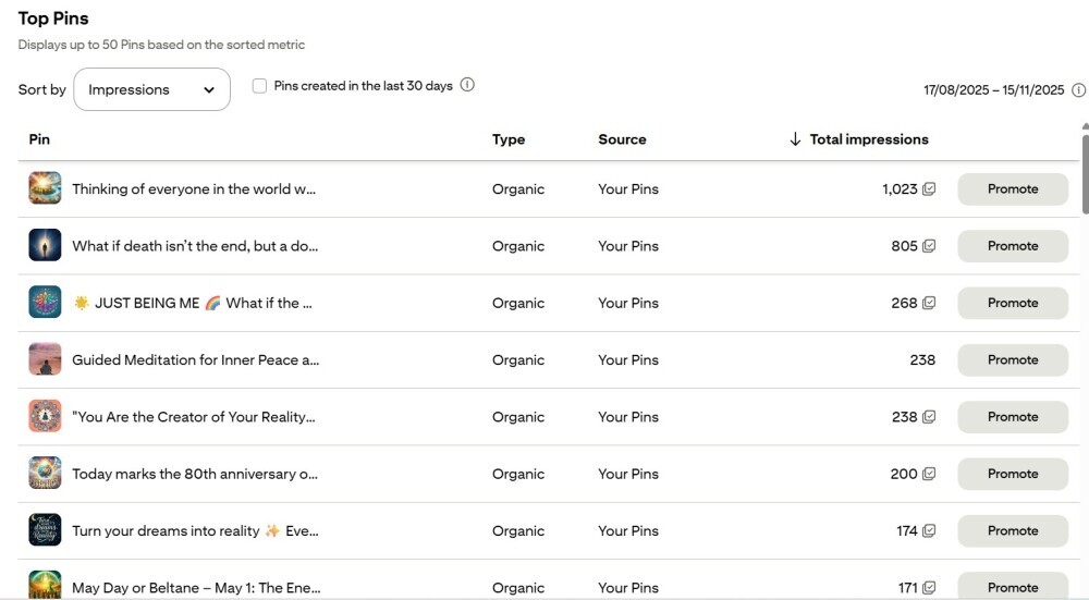 Screen shot showing top pins for The Creative Choice