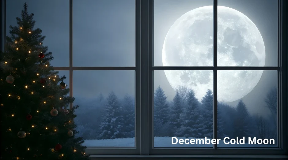 A large full moon seen through a window and near a Christmas tree