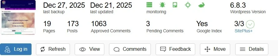 Screenshot of The Creative Choice website statistics