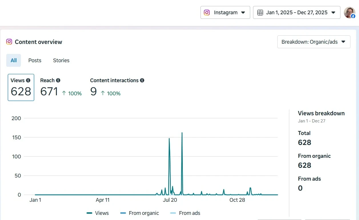 My Online Income results for Instagram
