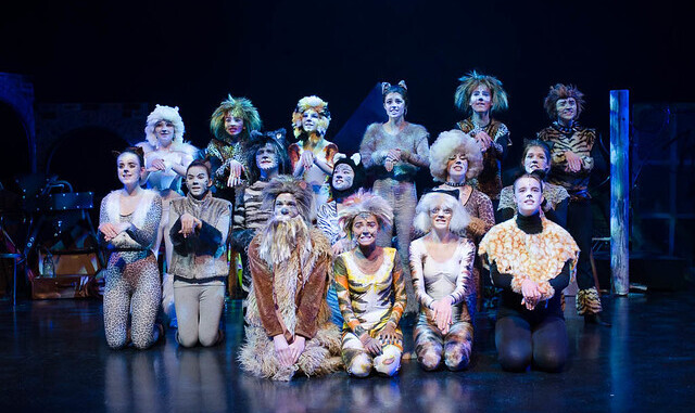Student performance of