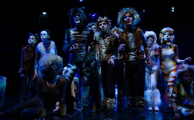 CAts production