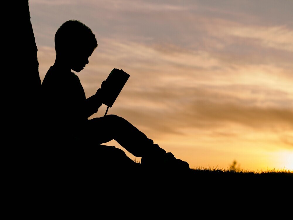Silhouette of boy reading a book - World Book Day 2025