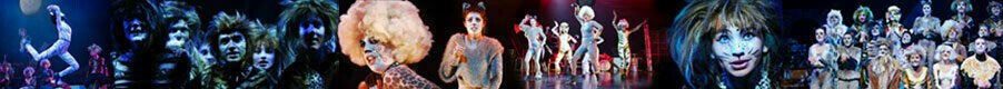 cats performance