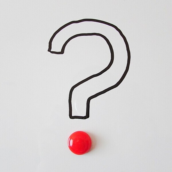 Why does my pet cat attack my dog for no reason