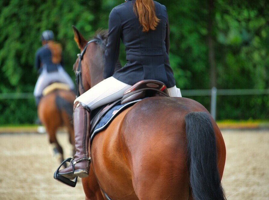 Riding lessons