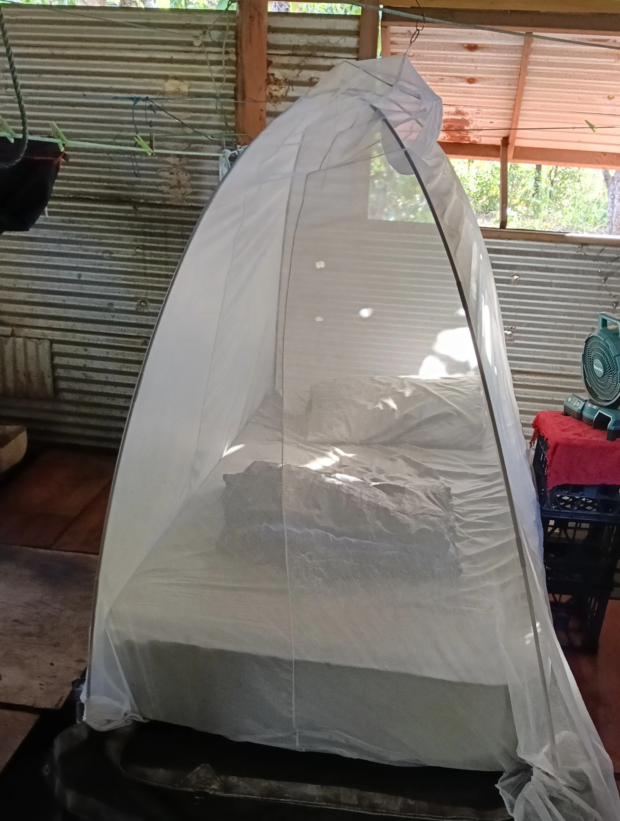 a net to keep the mozzies out! Reference 1785147398 Display 1785147425 Cropped