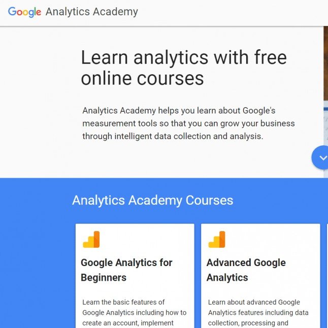 Training Image