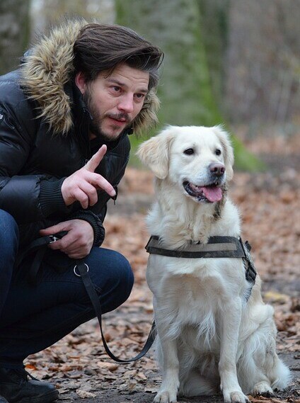 man and dog, leash, regular dog walkin g