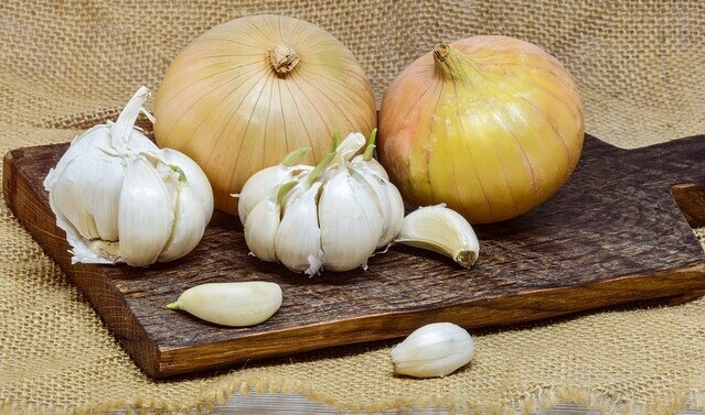 onions, garlic, pets safe, toxic foods