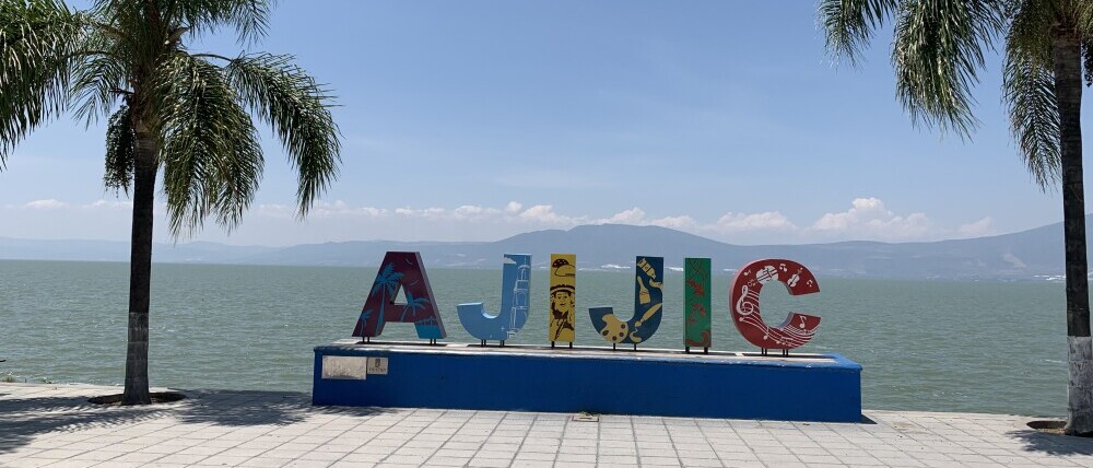 House Sit in Ajijic, Ajijic Sign, Palm Trees, Water