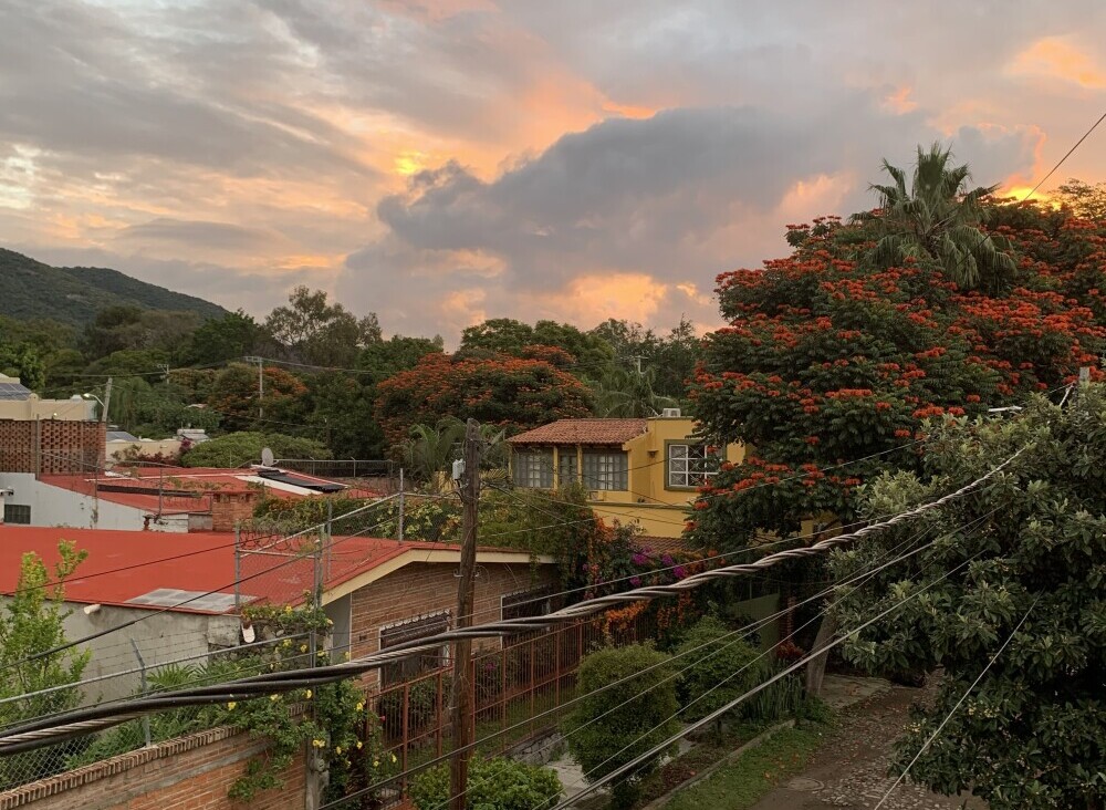 House Sit in Ajijic, Sunset