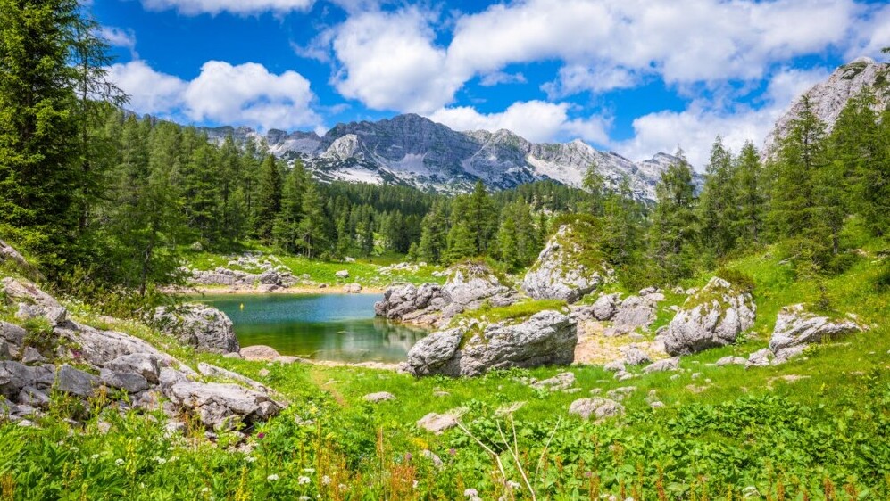 Lake Bohinj Slovenia