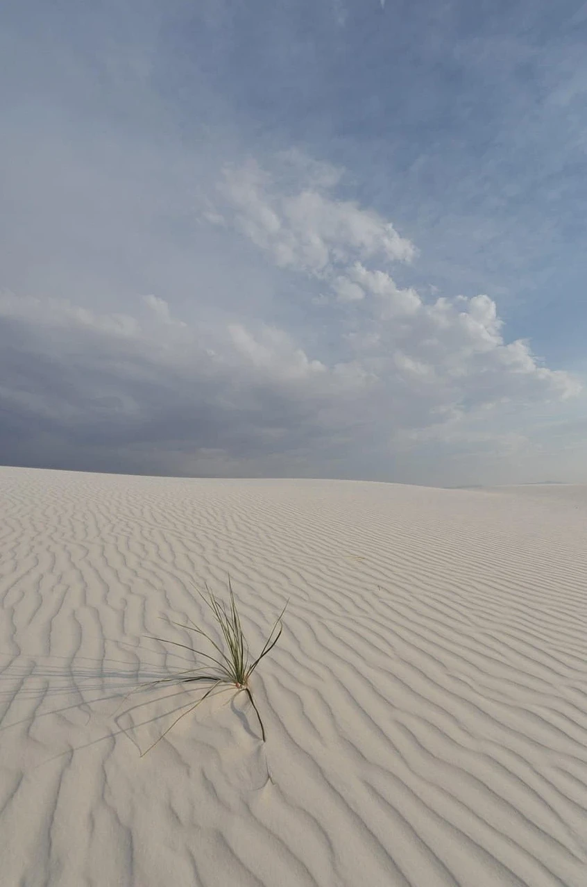 Best Places To Visit In New Mexico