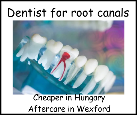 Dentist for root canals cheaper in Hungary aftercare in Wexford image