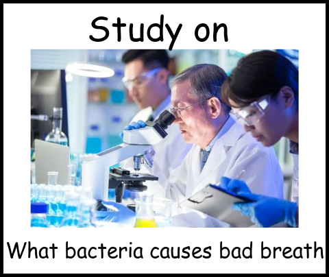 Study on what bacteria causes bad breath image