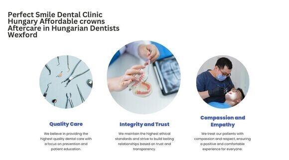 Perfect Smile dental clinic Hungary affordable dental crowns image