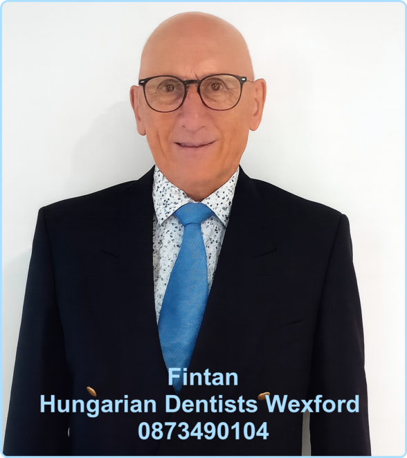 Fintan Hungarian dentists Wexford image 