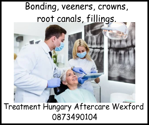 Bonding, veeners, crowns, roit canal, filling chipped teeth treatment image