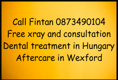 Call Fintan image 