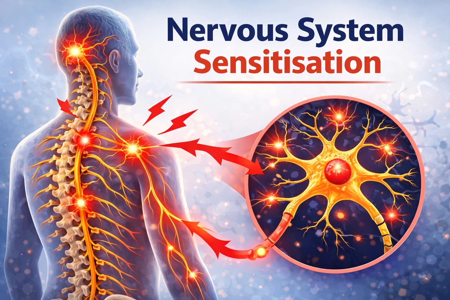 Nervous system sensitisation image