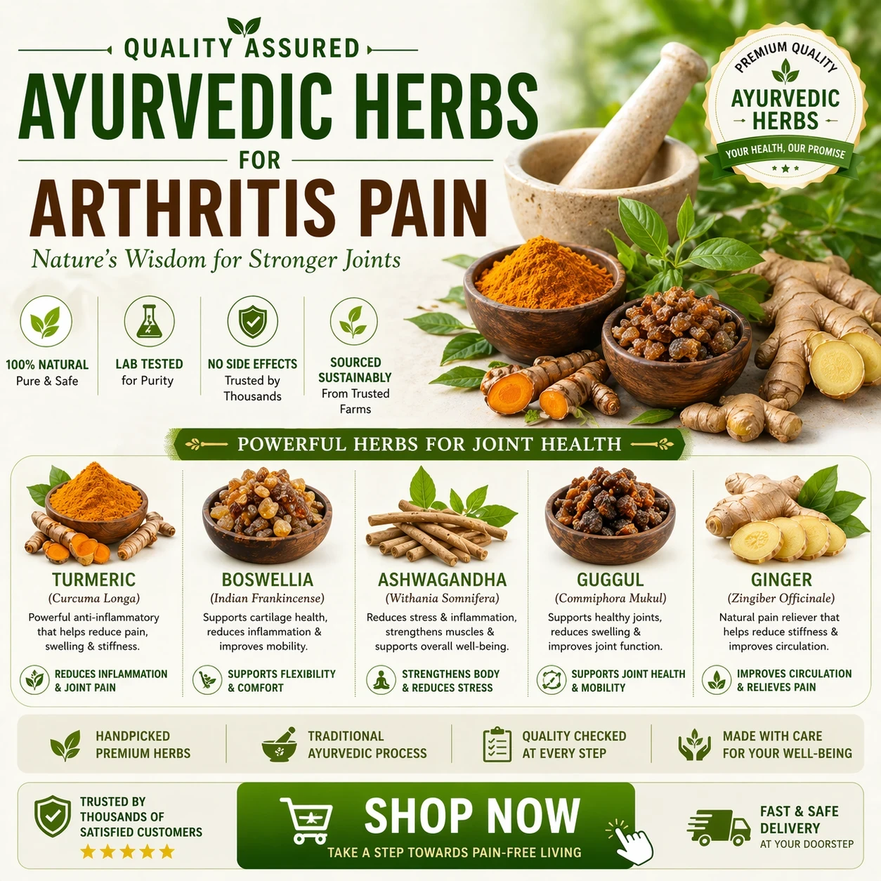 Quality assured Ayurvedic herbs for arthritis pain image