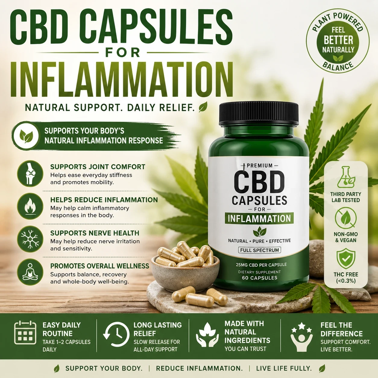 CBD Capsules For Inflammation image
