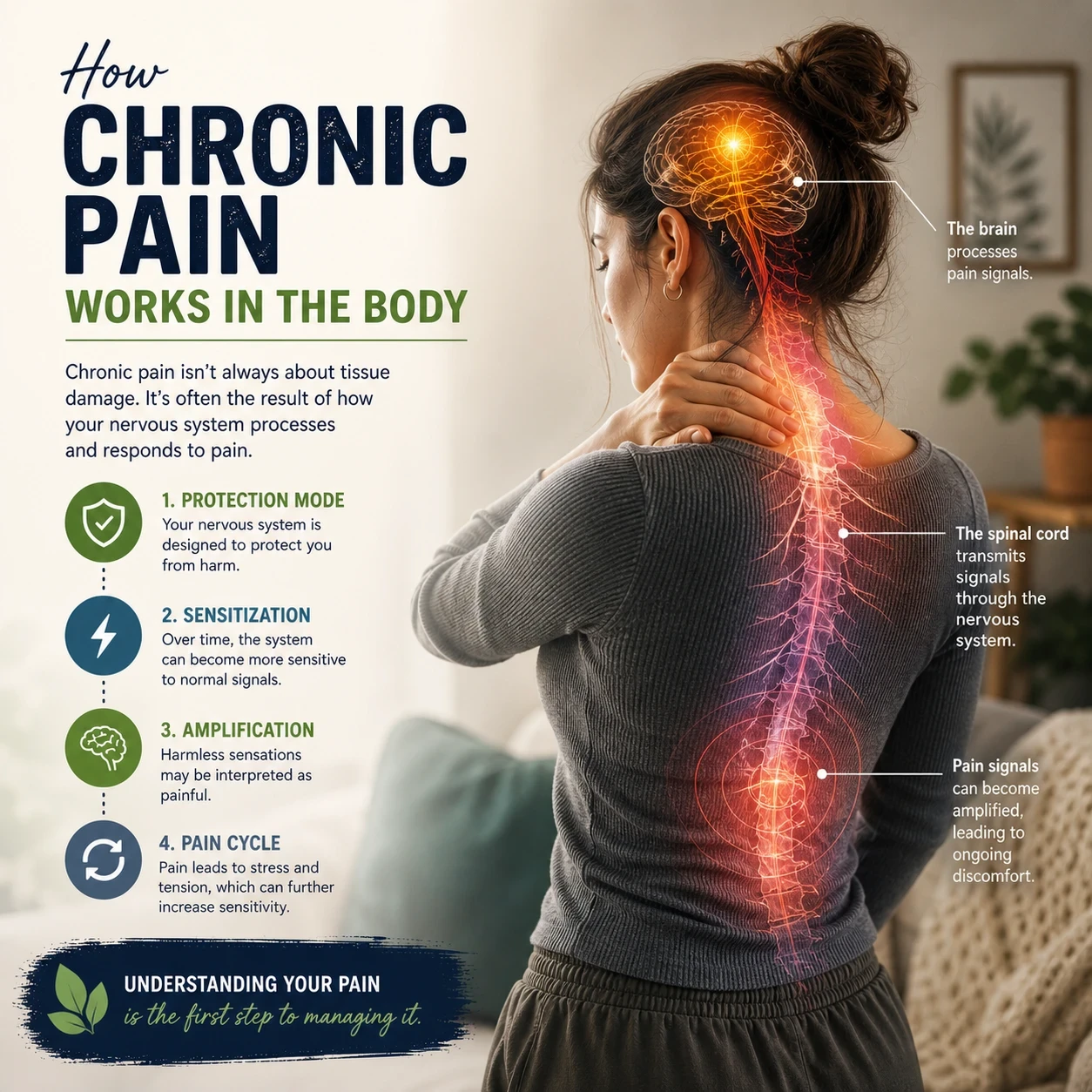 How chronic pain works in the body image