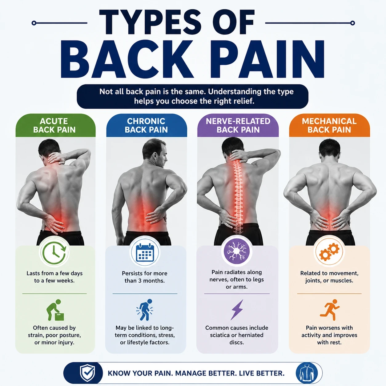 Types of Back pain image