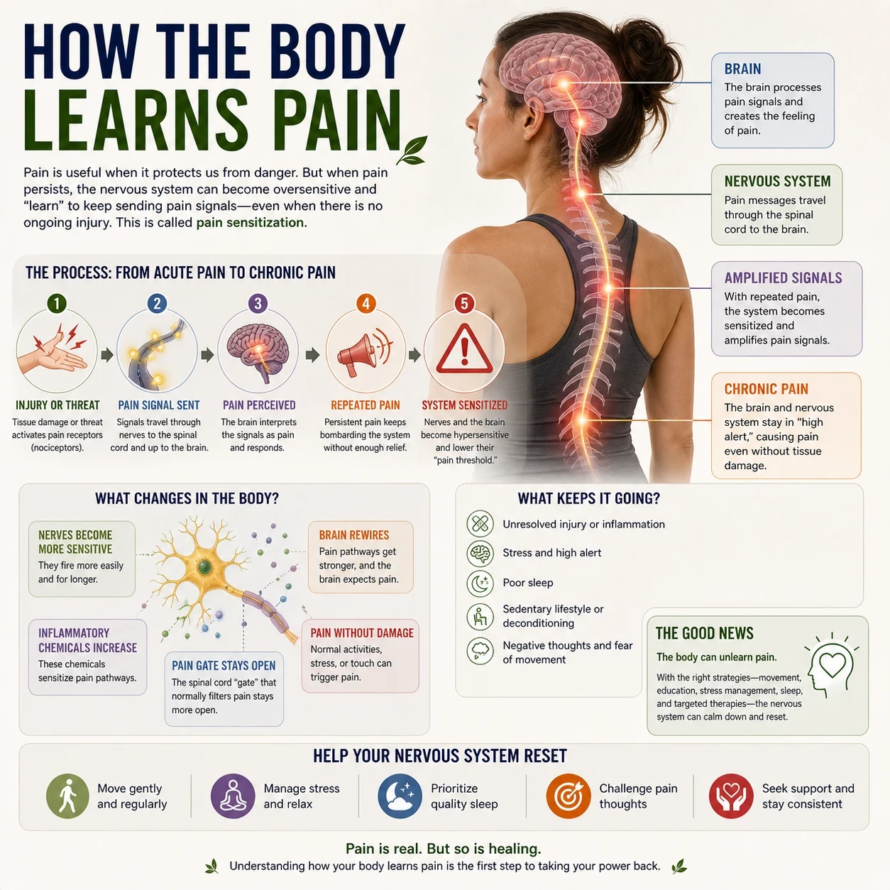 How the body learns pain image