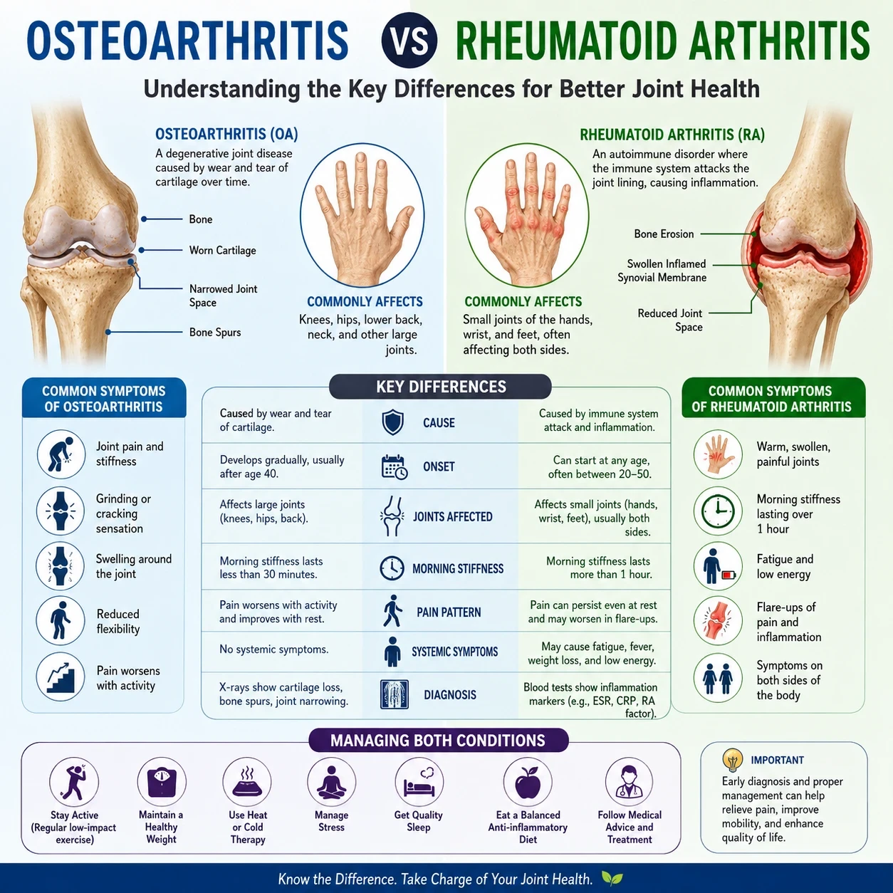 Osteoarthritis vs Rheumatoid Arthritis image
