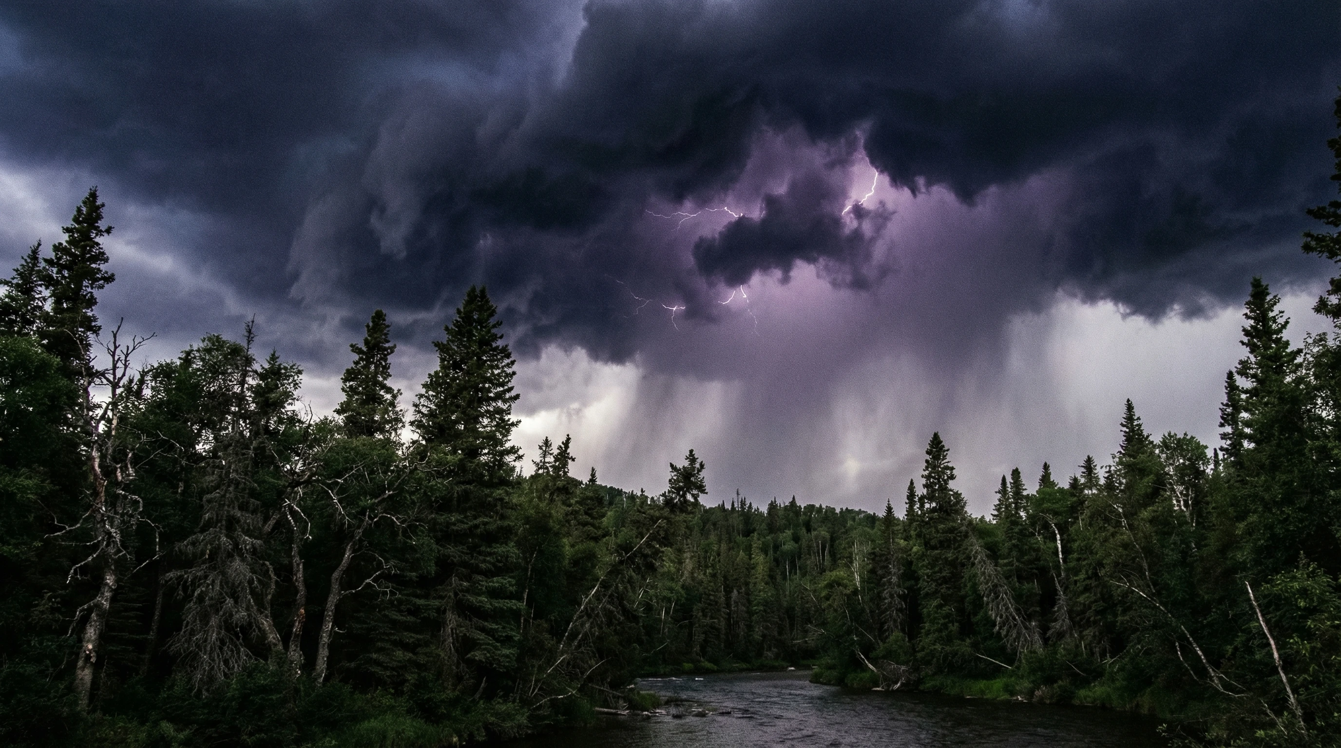 Storm clouds over forest