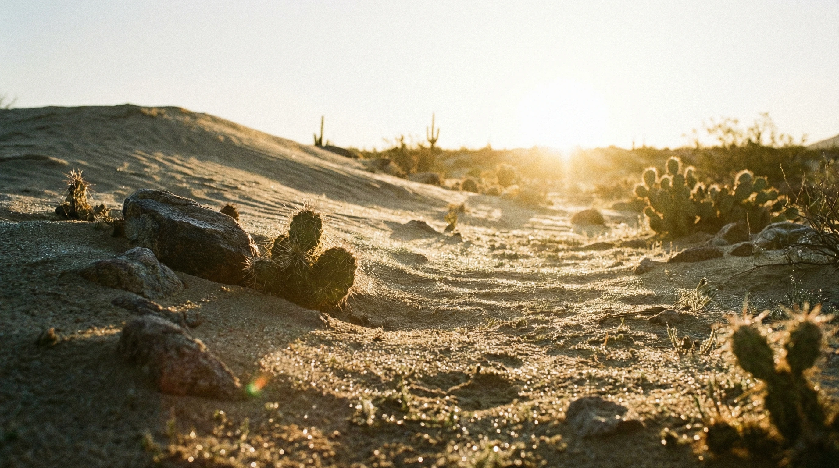 Manna and Quail provision