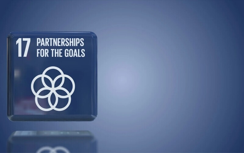 Partnerships for the goals