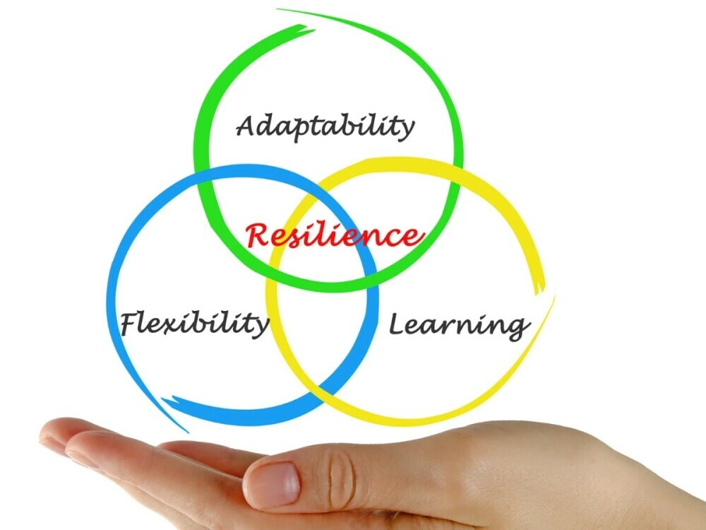 Cultivating resilience 