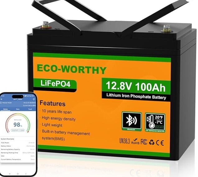 ECO-WORTHY 12V 100Ah LiFePO4
