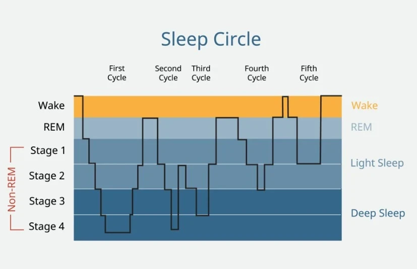 Sleep Architecture Changes