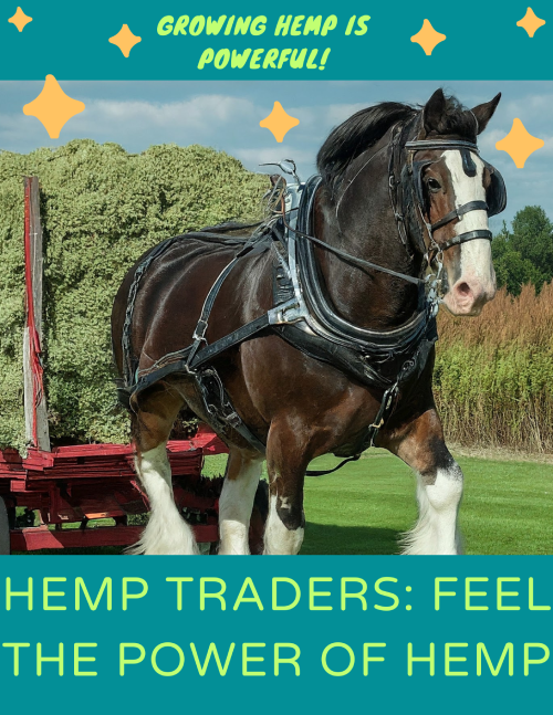 Hemp Traders SHOP  TODAY Feel The Power of Hemp!