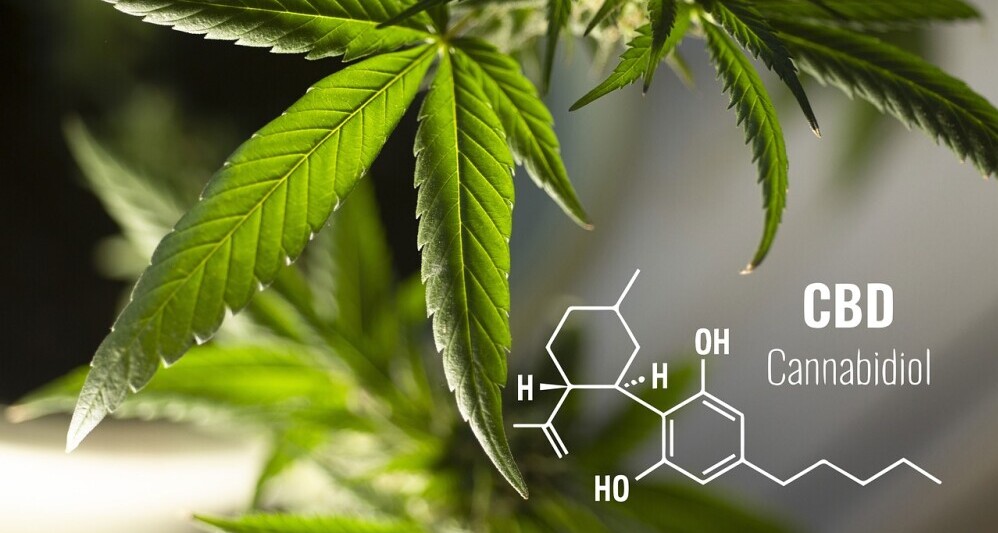 Hemp Leaf and Honey Comb Elements