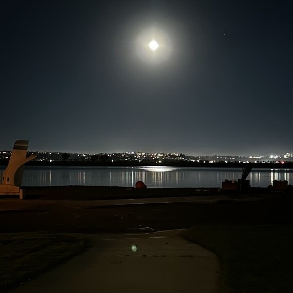 Playing guitar in the moonlight 