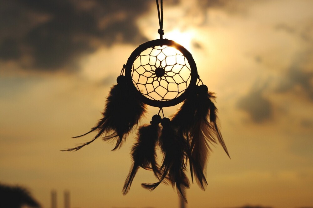 Dream in the land of unexpected