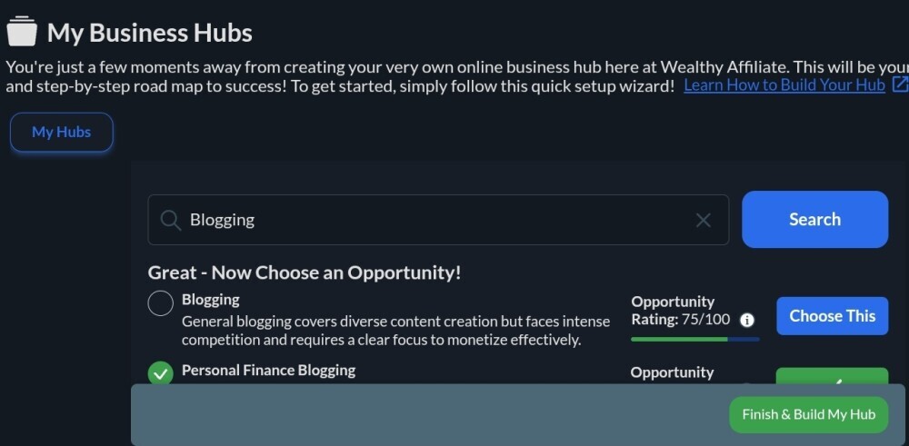 screenshot of choosing blogging as a niche in the business hub of wealthy affiliate.